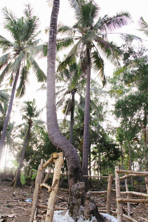 Отель Nyuh Bengkok Tree House Batununggul Экстерьер фото